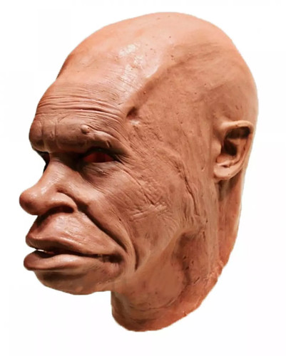 Neandertal steinzeit mensch - neandertal,