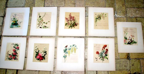 Original chromolithographie - 9x,