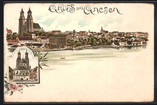 Lithographie Gnesen / Gniezno, Ansicht vom Dom, Panorama der Innenstadt 