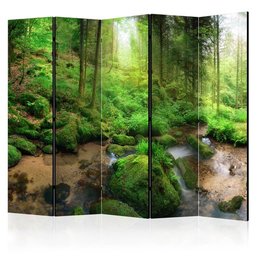 Natur wald wasserfall - natur,