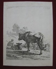 Karel Dujardin: Stier & Kalb