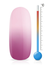 Jolifin LAVENI Shellac -