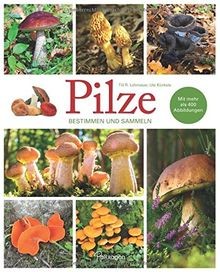 Pilze bestimmen und - -,