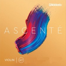 Addario ascenté violine - d'addario,