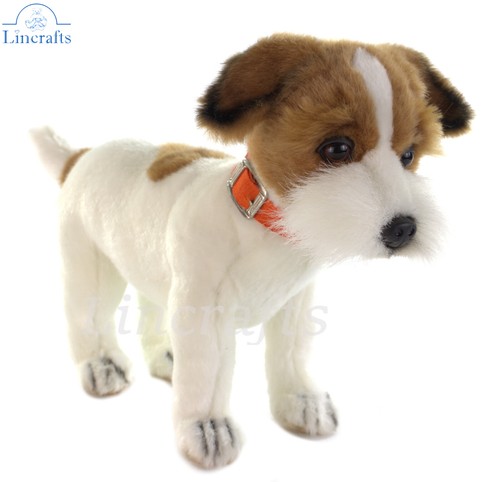 Hansa jack russell terrier - jack,