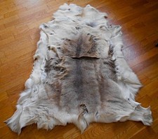 !!!  2 Stück wunderschöne R E N T I E R - Naturfelle - 100x120 cm NEU unbenutzt