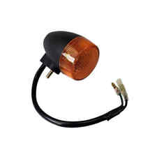 Blinker Signallicht hinten