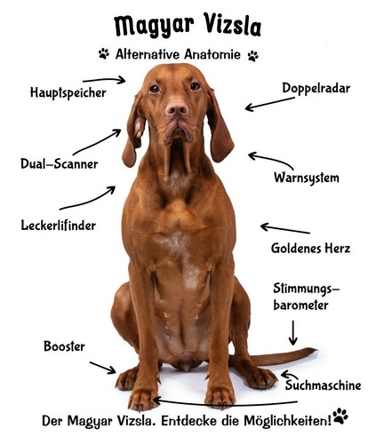 Poster bild kunstdruck - poster,