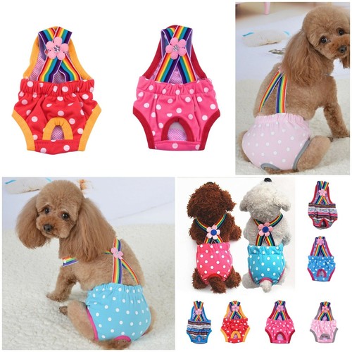 Hunde schutzhose - hunde,