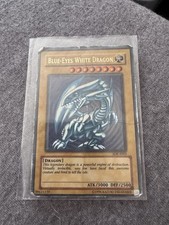 Blauäugiger Weißer Drache