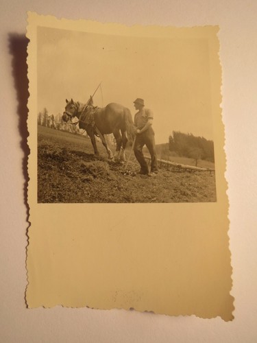 Bauer mit pferd und pflug - bauer,