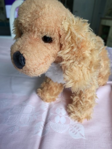 Seiff alter hund - seiff,