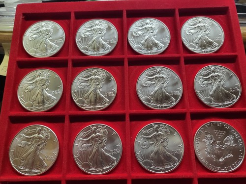 2011 usa dollar - 2011, american