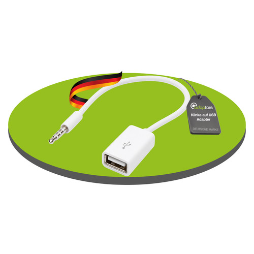 Adaptare aux in - 10, aux-in-kabel