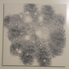 Scarabeus Dream - Tacet Lp