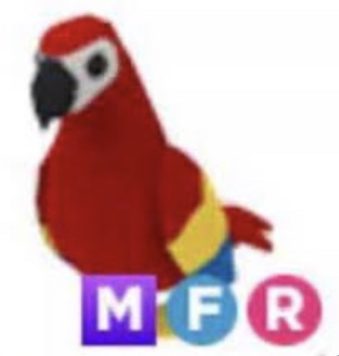 Mfr parrot - mfr, Über