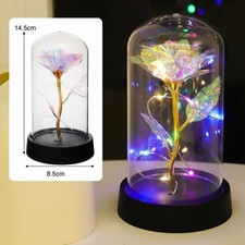 Eternal Rose in Glass LED