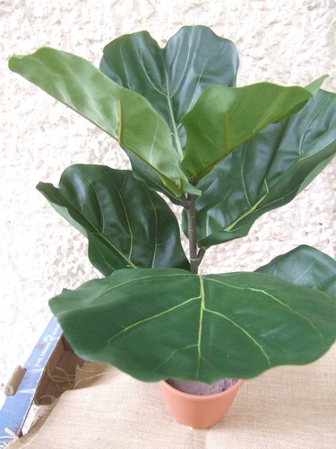 Künstliche pflanze ficus - künstliche,