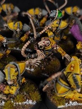 Pro-painted, Blood bowl, 12