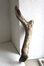 Schwemmholz Treibholz   ❤️