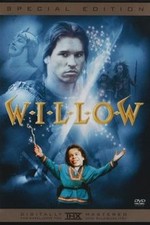 Willow (+ Horton Activity