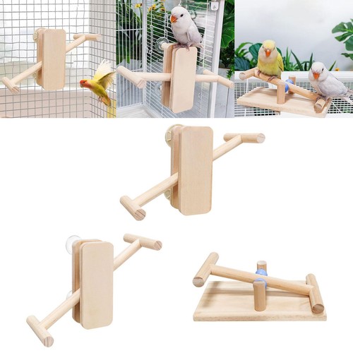 Haustier papagei barsch - haustier,