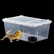 Reptilienzuchtbox