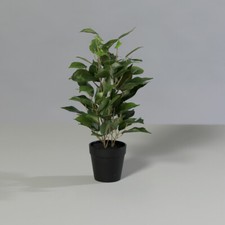 künstlicher Mini-Ficus im