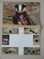 Stundenplan für Sammler Landesjagdverband S-H groß -  sehr guter Zustand