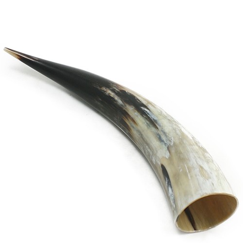 Echtes ochsenhorn wikinger - echtes,