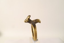 Alter schöner Ring Tier