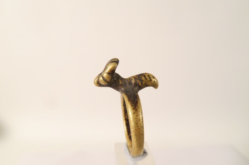 Alter schöner ring tier - ring,