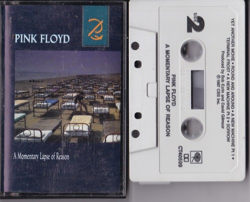 Pink floyd momentary lapse - pink,