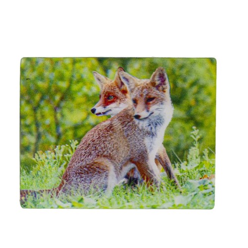 Magnet tiere fuchs - -,