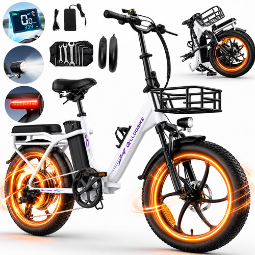 Zoll elektrofahrrad 48v - zoll,