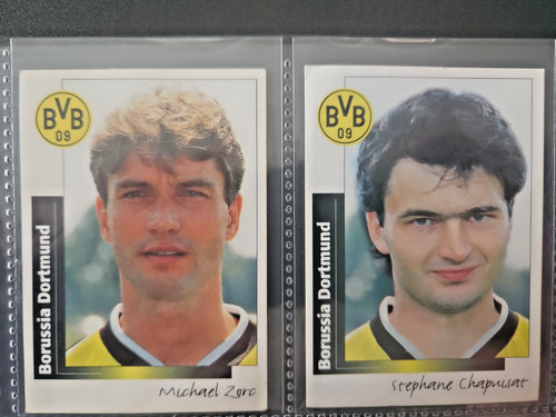 Panini bundesliga bvb - bundesliga, 96