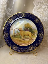 Aynsley golden retriever - golden,