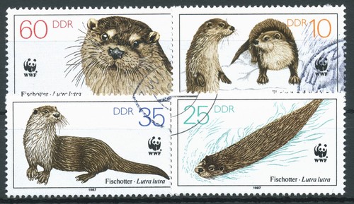 Ddr 1987 wwf - ddr,