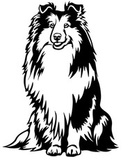 SHELTIE Aufkleber - Sheltie