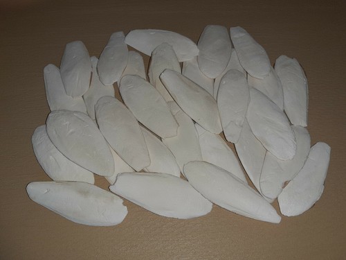 Sepiaschalen 12cm - sepiaschalen,