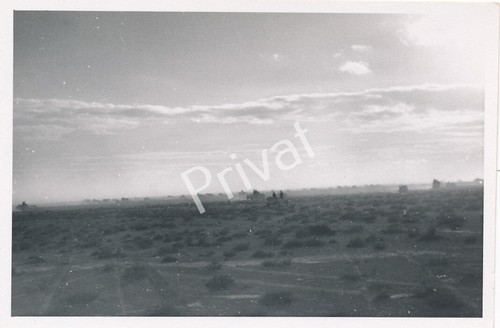 Foto wkii wehrmacht steppe - foto,
