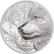  MYSTIC WOLF  2021 , Silber 1