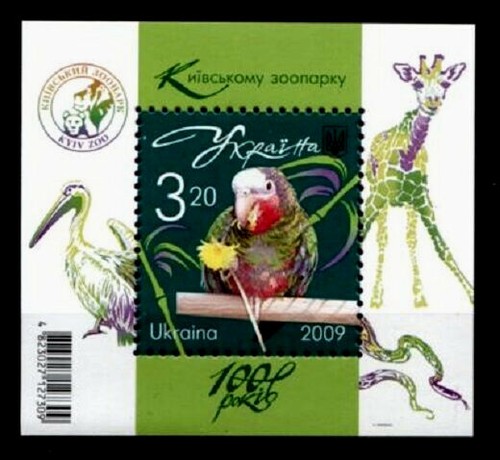 Amazone papagei aus zoo kiew - amazone.,
