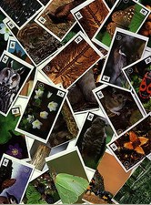 Edeka WWF Sticker 15 aussuchen Sammelbilder Unser Wald Mit 180 Stickern die ...