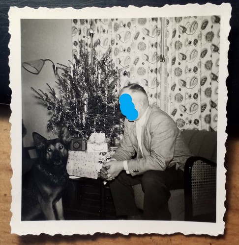 Weihnachten mann mit hund - mit,