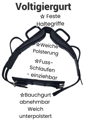 Voltigiergurt volti gurt - volti,