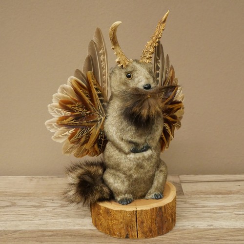 Wolpertinger murmel präparat - murmel,