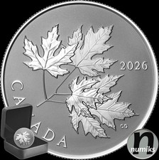 Gleaming Maple Leaf - 10$
