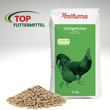 mifuma Wachtel Zucht + Haltung