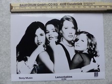 Lemonbabies, Original  Presse/Promo Foto, auf Hochglanz-Foto-Papier